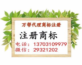 邯鄲公司注冊 內(nèi)資公司注冊 領(lǐng)取營業(yè)執(zhí)照等 無地址辦人力資源專業(yè)